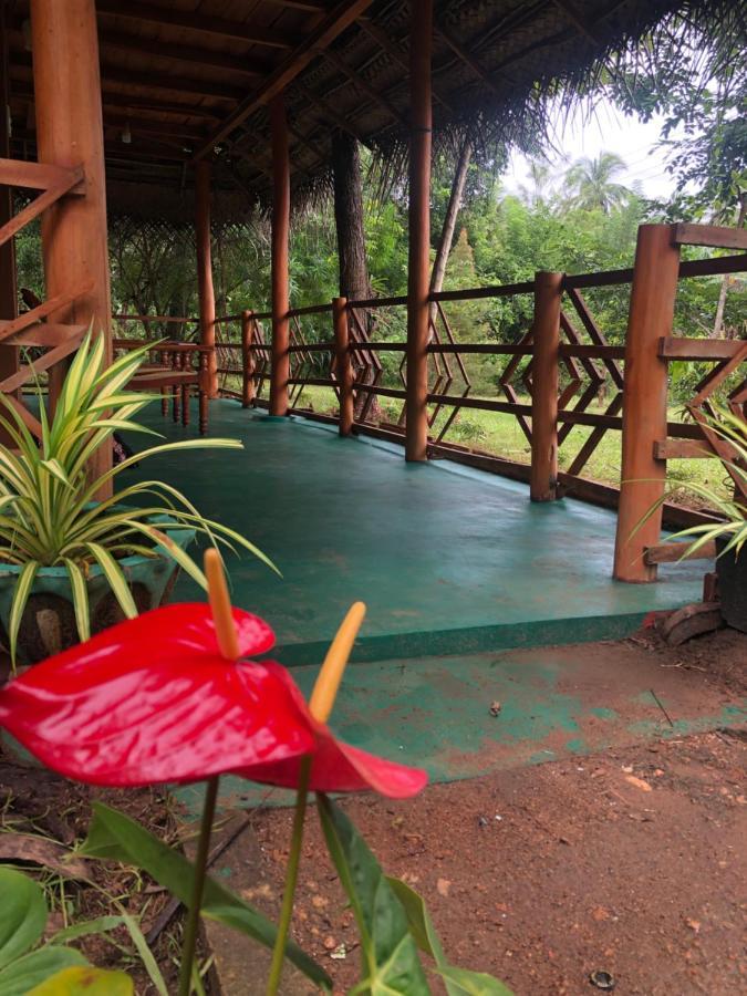 Sigiri Lion Eco Palace สิกิริยา ภายนอก รูปภาพ