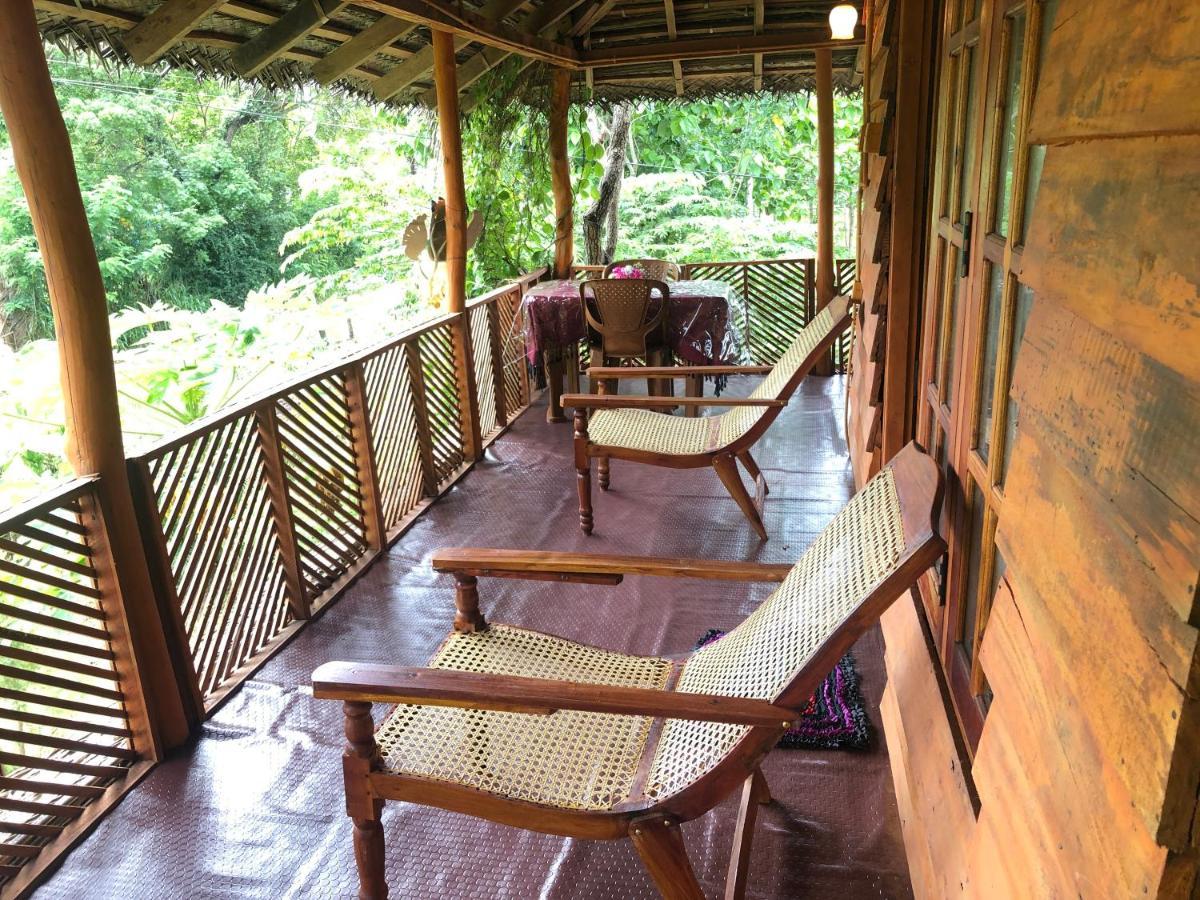 Sigiri Lion Eco Palace สิกิริยา ภายนอก รูปภาพ
