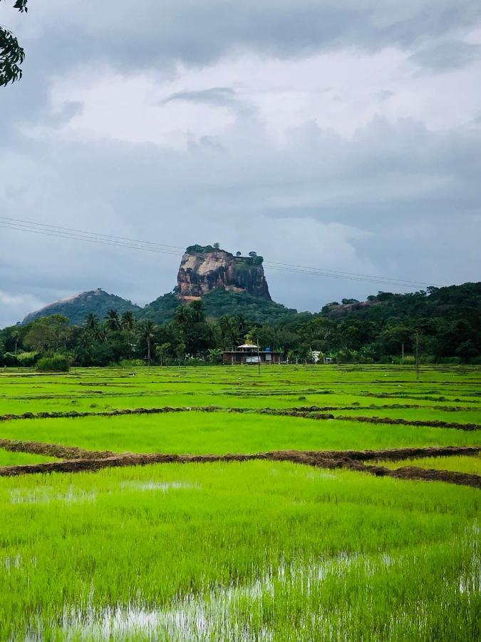 Sigiri Lion Eco Palace สิกิริยา ภายนอก รูปภาพ