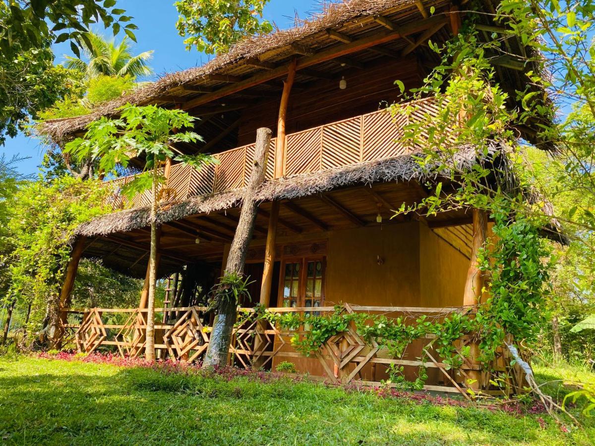 Sigiri Lion Eco Palace สิกิริยา ภายนอก รูปภาพ