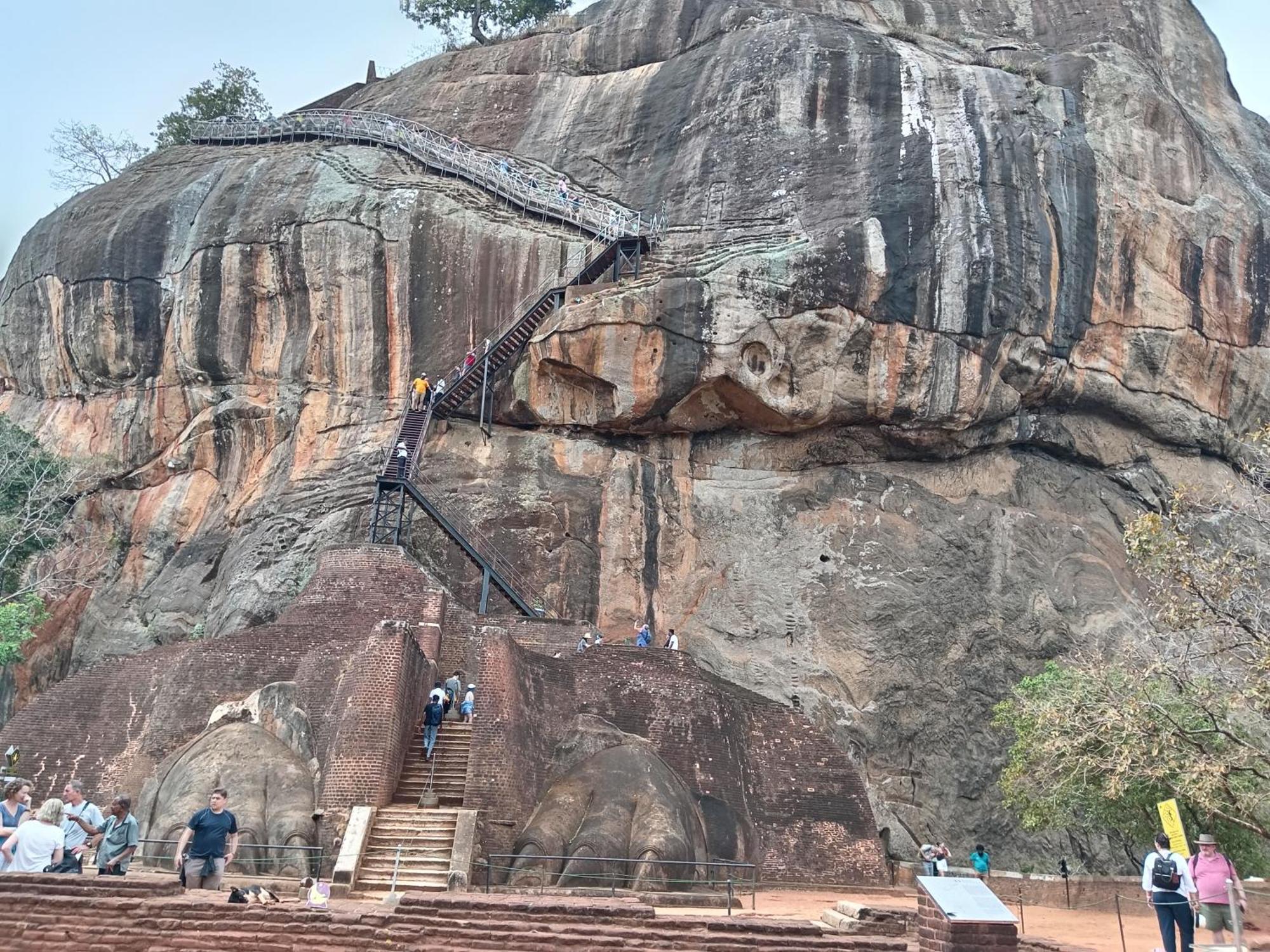 Sigiri Lion Eco Palace สิกิริยา ภายนอก รูปภาพ