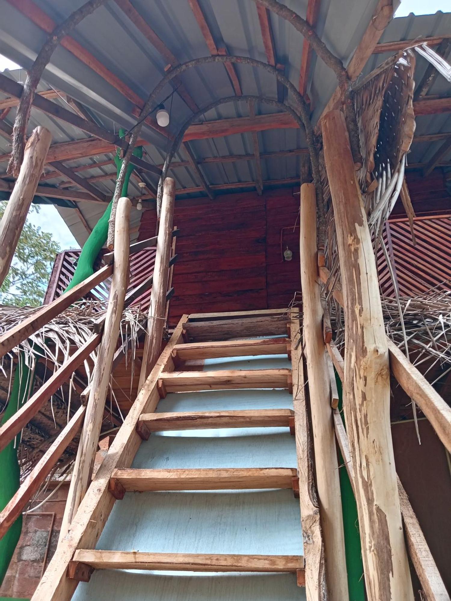 Sigiri Lion Eco Palace สิกิริยา ภายนอก รูปภาพ