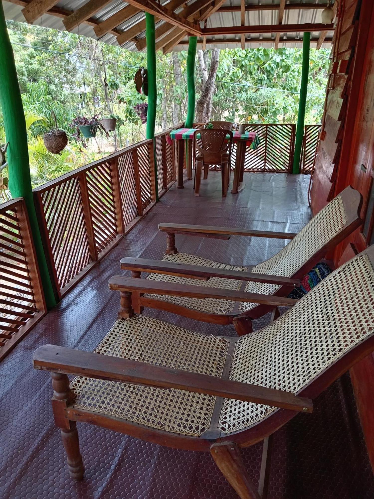 Sigiri Lion Eco Palace สิกิริยา ภายนอก รูปภาพ